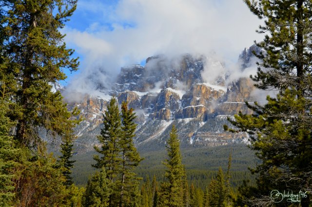 castle mountain8.jpg