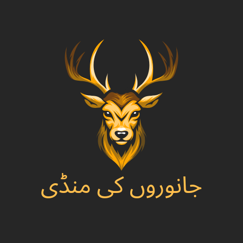 Black and Yellow Illustrative Deer Animal Logo_20240823_203037_0000.png