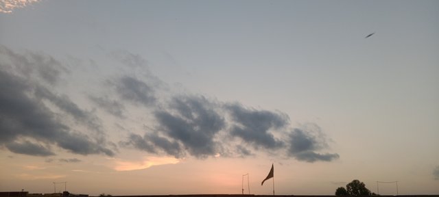 IMG_20250824_184125_369.jpg