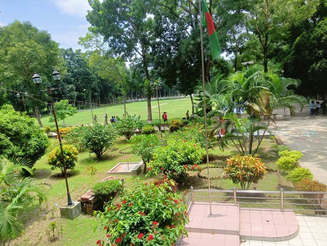 IMG20250626120947.jpg