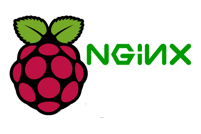 Raspberry_Pi_Logo_nginx.png