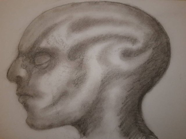 20250730_105718.jpg
