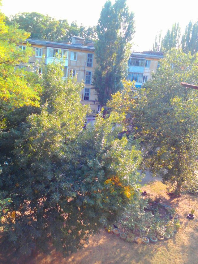 IMG_20200916_220722.jpg