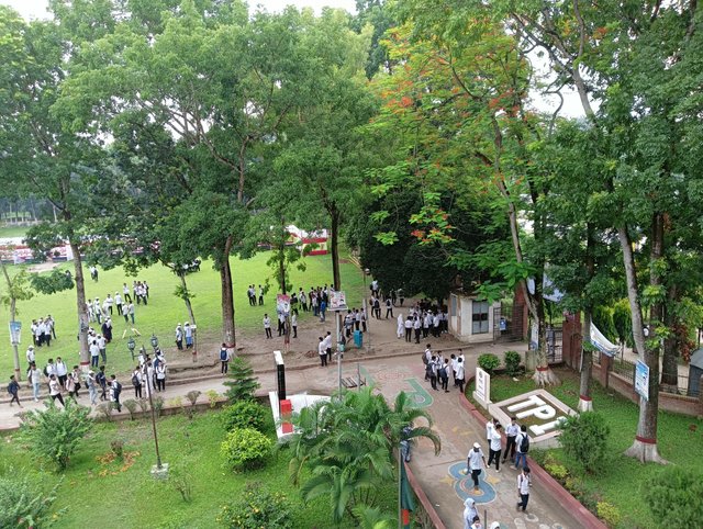 IMG20230614085941.jpg