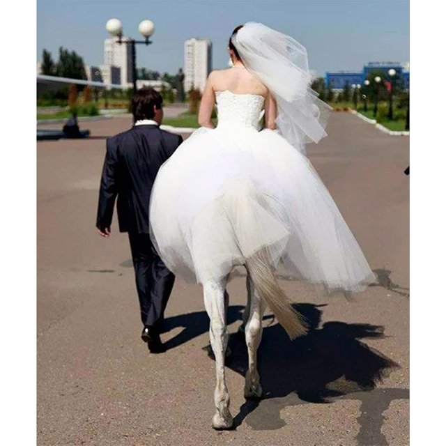 Did this man just marry a half-woman half-horse No, luckily for him it’s just a bride on a horse with a very flowy dress. Great optical illusion, though..jpg