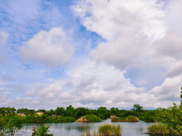IMG_20250917_160137.jpg