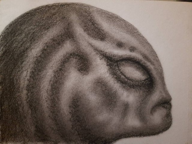 20250508_114213.jpg