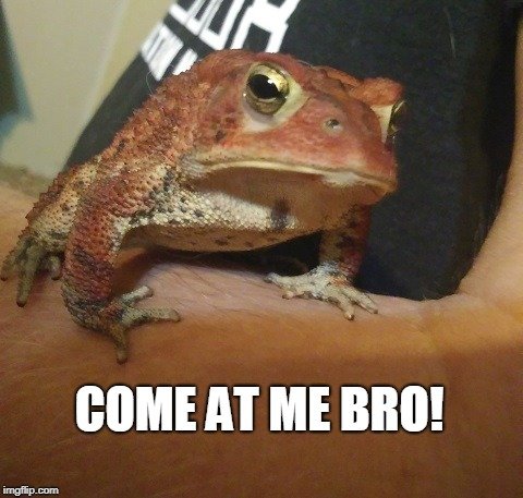 come at me bro.jpg