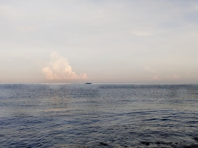 IMG_20251004_055030.jpg