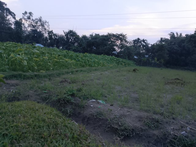 1000045599.jpg
