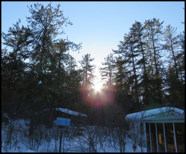 hexagon sunrays coming from behind evergreens by house.JPG