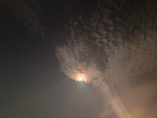  2025-07-17 at 10.24.15 AM (1).jpeg
