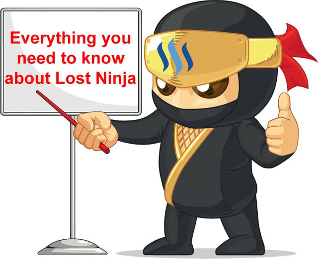 lost-ninja-everything.jpg
