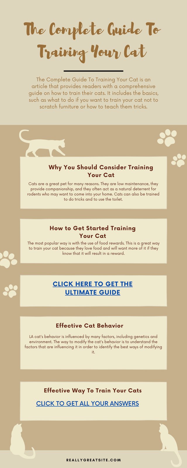 The Complete Guide To Training Your Cat.jpg