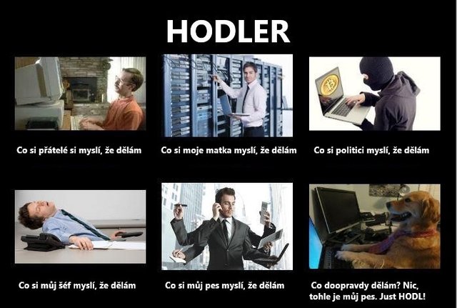 Just Hodl.jpg