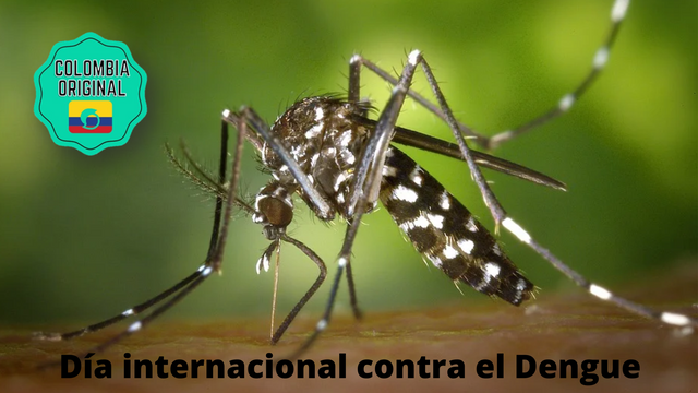 Día internacional contra el Dengue.png