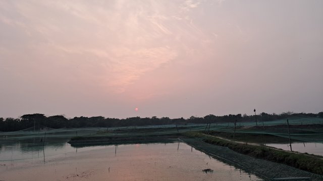 20240405_175246.jpg
