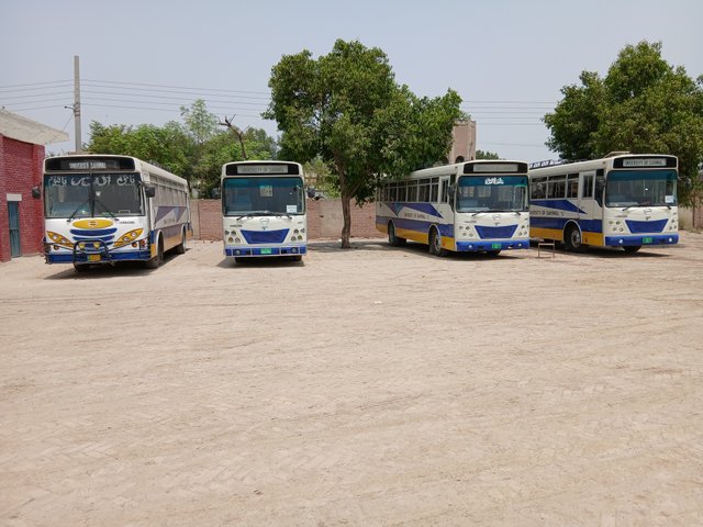 1000035576.jpg