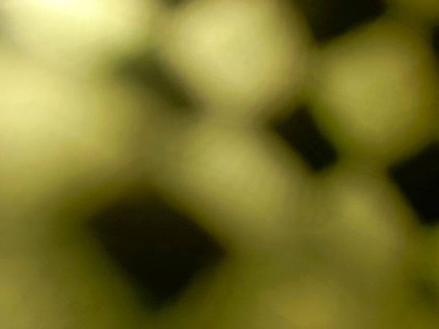 1000664792.jpg