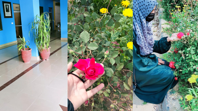 Untitled design (29).png