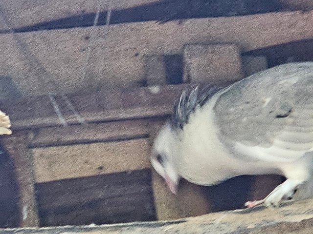20250711_172341.jpg