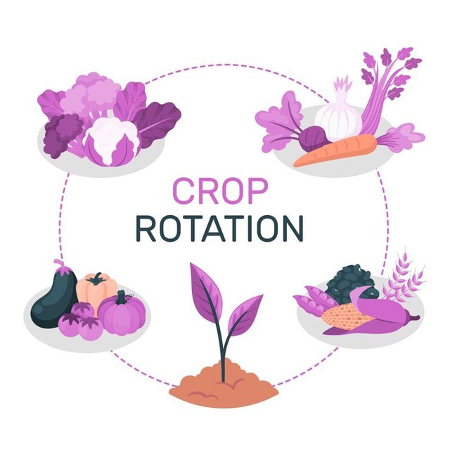 crop-rotation-concept-illustration_114360-25162.jpg