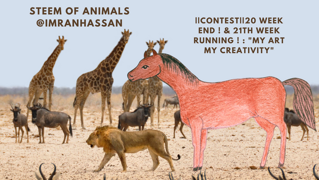 Steem of Animals @imranhassan.png