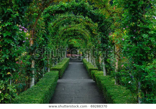 beautiful-garden-arches-path-inside-600w-69288370.webp