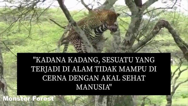 CB405A05-C397-4C60-B144-F56A64595BB8.jpeg