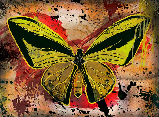 Green-yellow-butterfly.jpg