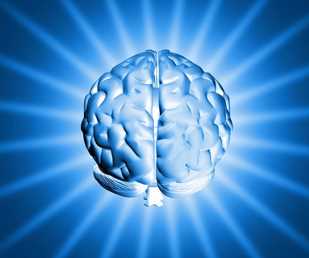 shiny-brain-1150907-639x532.jpg