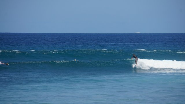 Bonus 2 Surfing 27.jpg