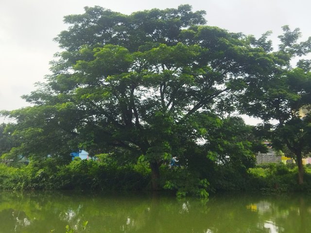 IMG_20250719_083857.jpg