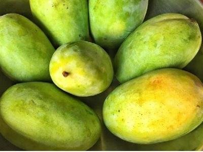 1530033886-mangoes.jpg