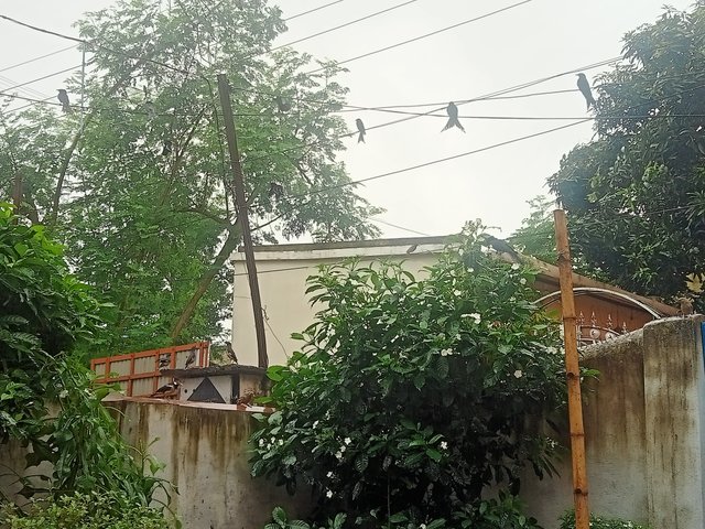 IMG20250619120202.jpg