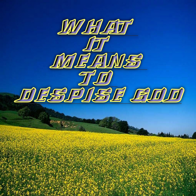 20250716_083358.png