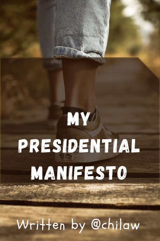 My presidential Manifesto.jpg