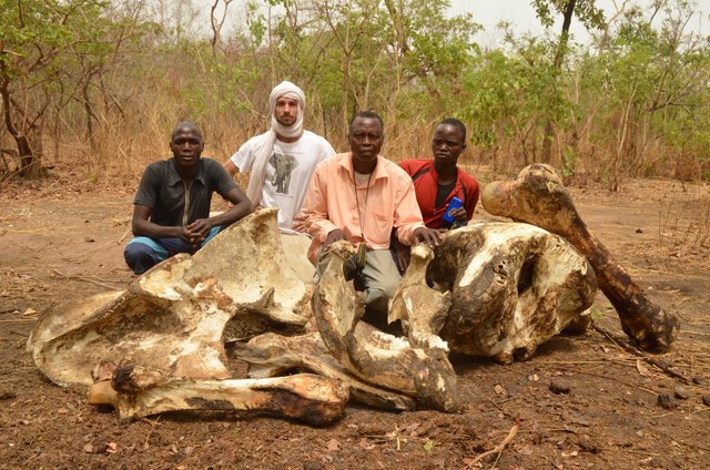 1.34 Poaching,Samuel and local guides and Arthur,Chad,2017.jpg