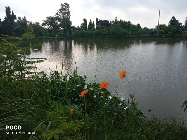 IMG_20250630_053226.