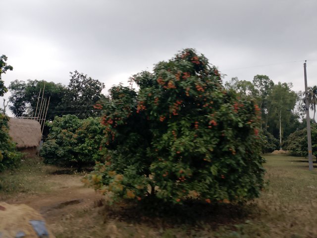 1000038087.jpg