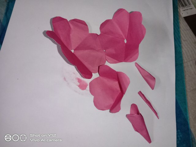 IMG_20250522_230825.jpg