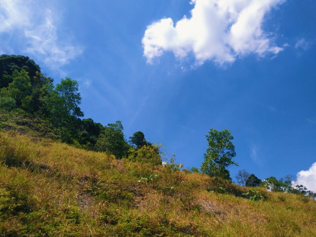 IMG_20250612_143750.jpg