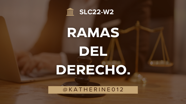 Ramas del Derecho._20241225_224335_0000.png