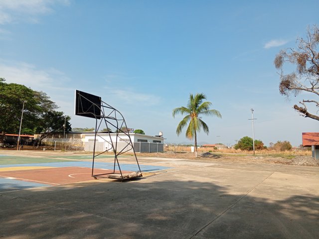 IMG_20250327_091230_657.jpg