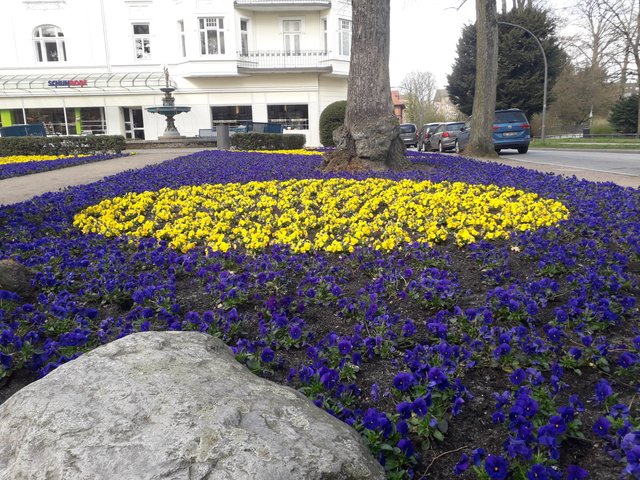 Blumen bergedorf.jpg