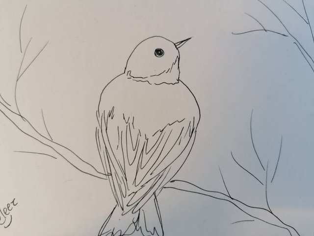 PAINTINGBLUEBIRD654TY (1).jpeg