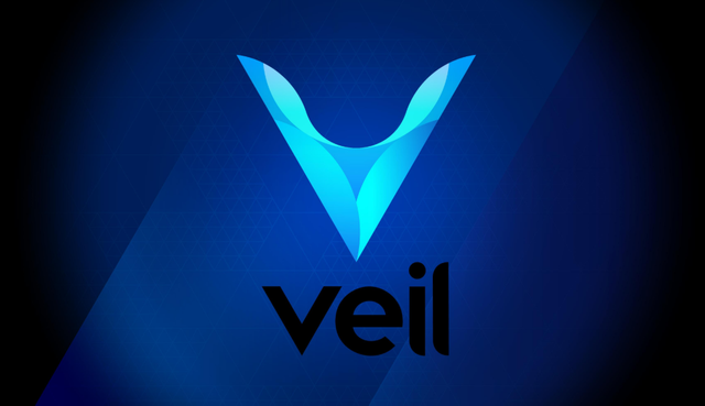 veil img 2.png