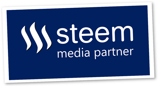 Steem Media Partners
