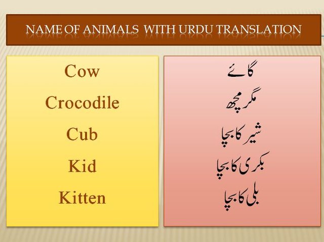 English To Urdu - #Vocabulary