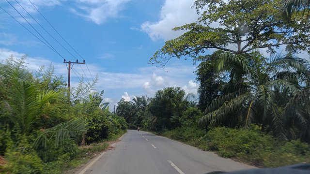 20250618_120435.jpg